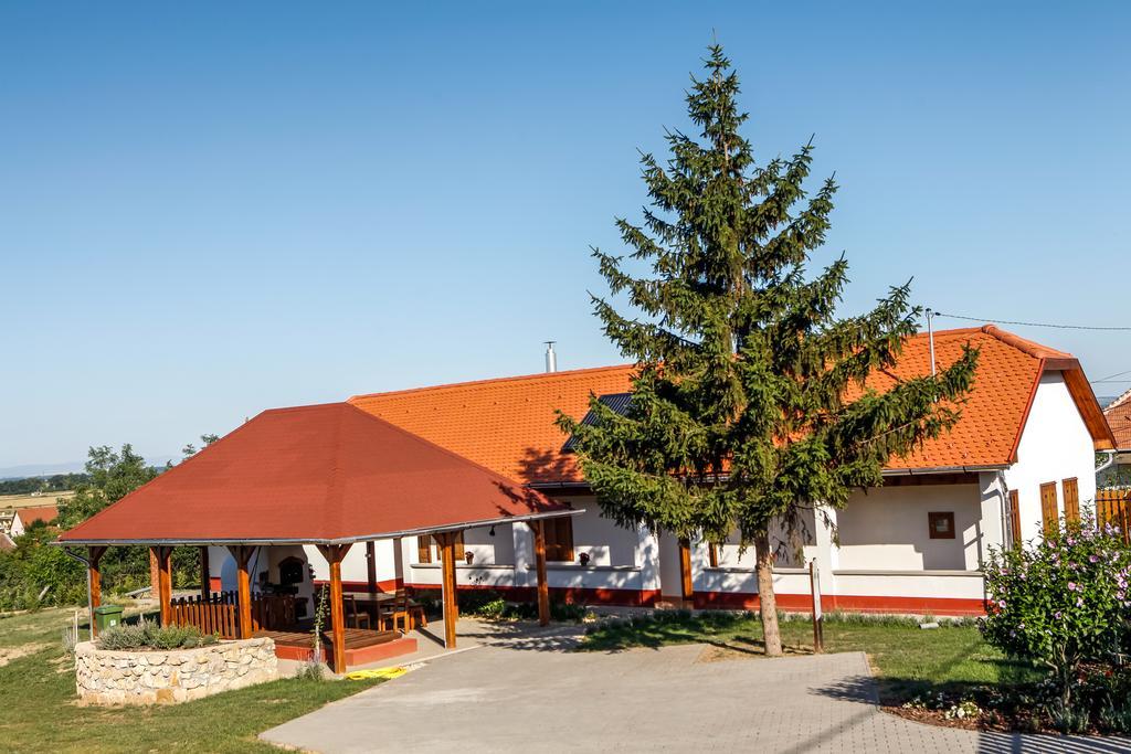 Katica Vendeghaz Hotel Tarcal Exterior photo