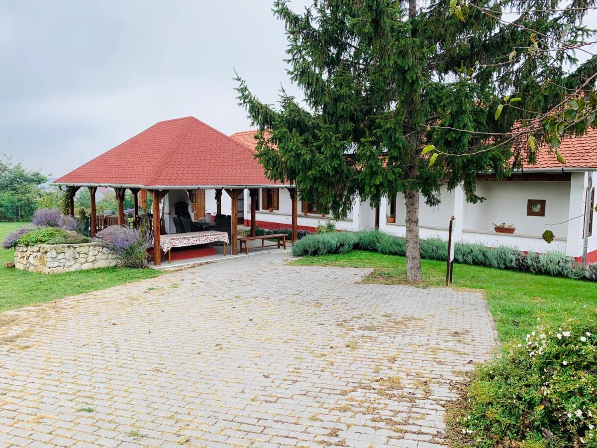 Katica Vendeghaz Hotel Tarcal Exterior photo